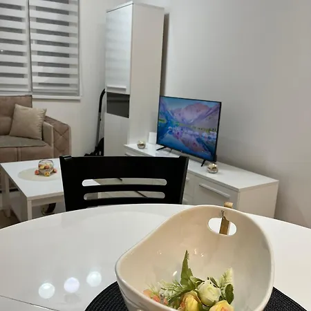 Kg Elite * 크라구예바츠