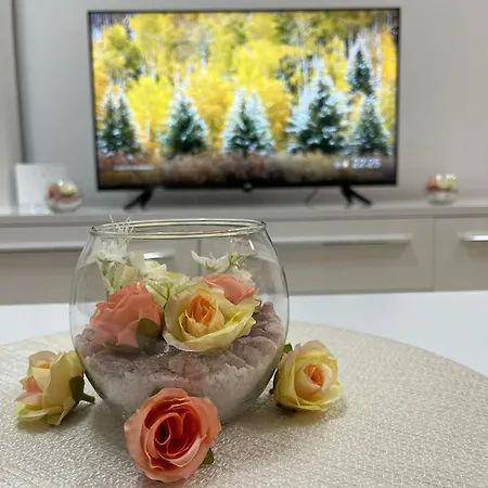 Kg Elite * 크라구예바츠